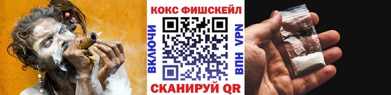 цены Петрозаводск COCAIN VHQ