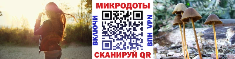 где купить   Петрозаводск  Псилоцибиновые грибы Magic Shrooms 